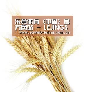 乐竟体育（中国）官方网站 - LEJINGSPORTS